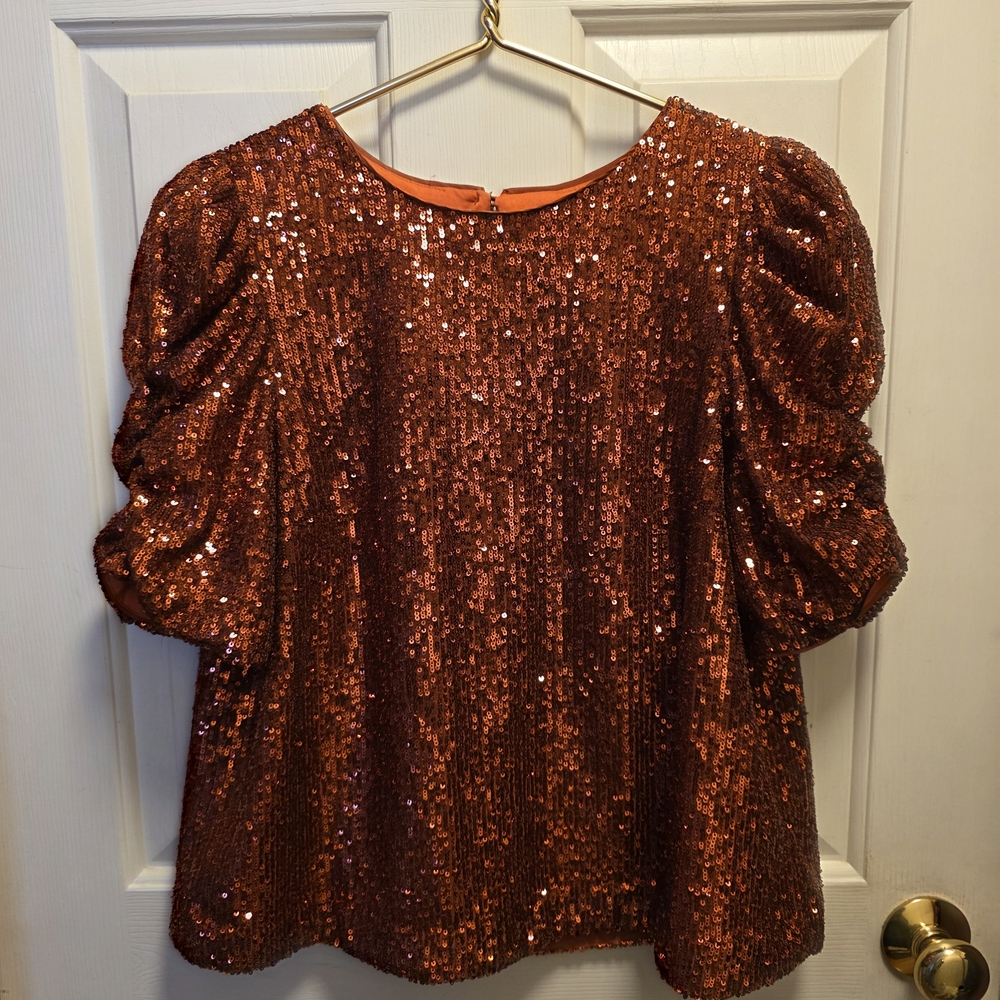Anthropologie Marie sequin puff-sleeve top Size 6 New Without Tags - Picture 4 of 11